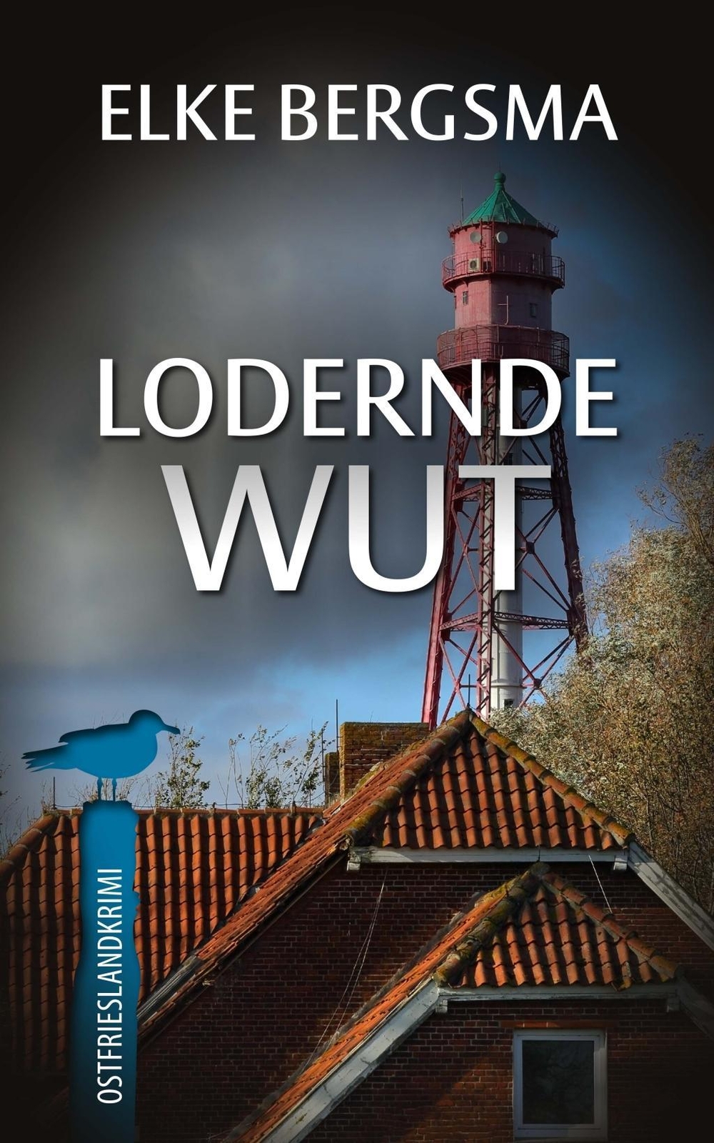 Thumbnail - Lodernde Wut | Buch | 9783963571107