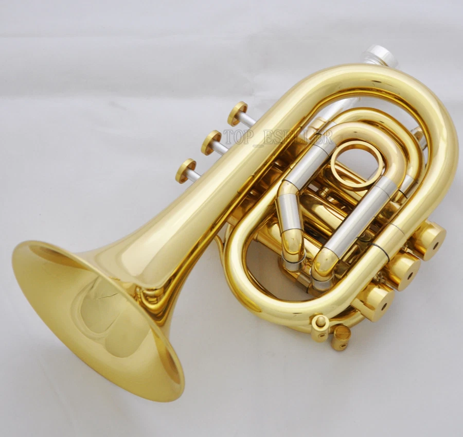 Trompeta Profesional Llave C Bolsillo Oro Lacq Corneta Cuerno Monel Válvula Nuevo Estuche Foto 2 de 4