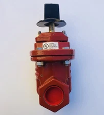 Kennedy 98Y8 KS-FW Fire Gate Valve Cast Iron, 2"