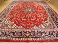 10x15' Perssiaan Tabreez Rug Traditional Red Blue #S10-3985