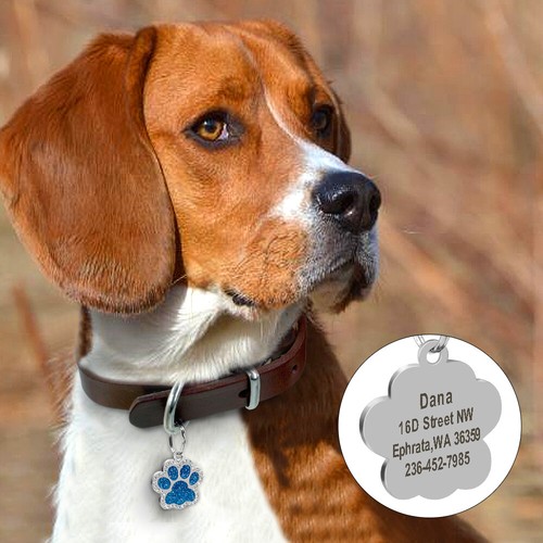 Personalised Dog Tags Rhinestone Bling Glitter Dog Paw Name Engraving Free Bows - Picture 8 of 17