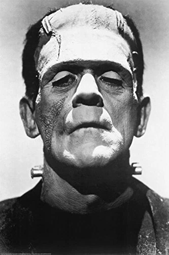 STUDIO B Frankenstein Movie (Boris Karloff, Close-Up) Poster Print 24 x 36in