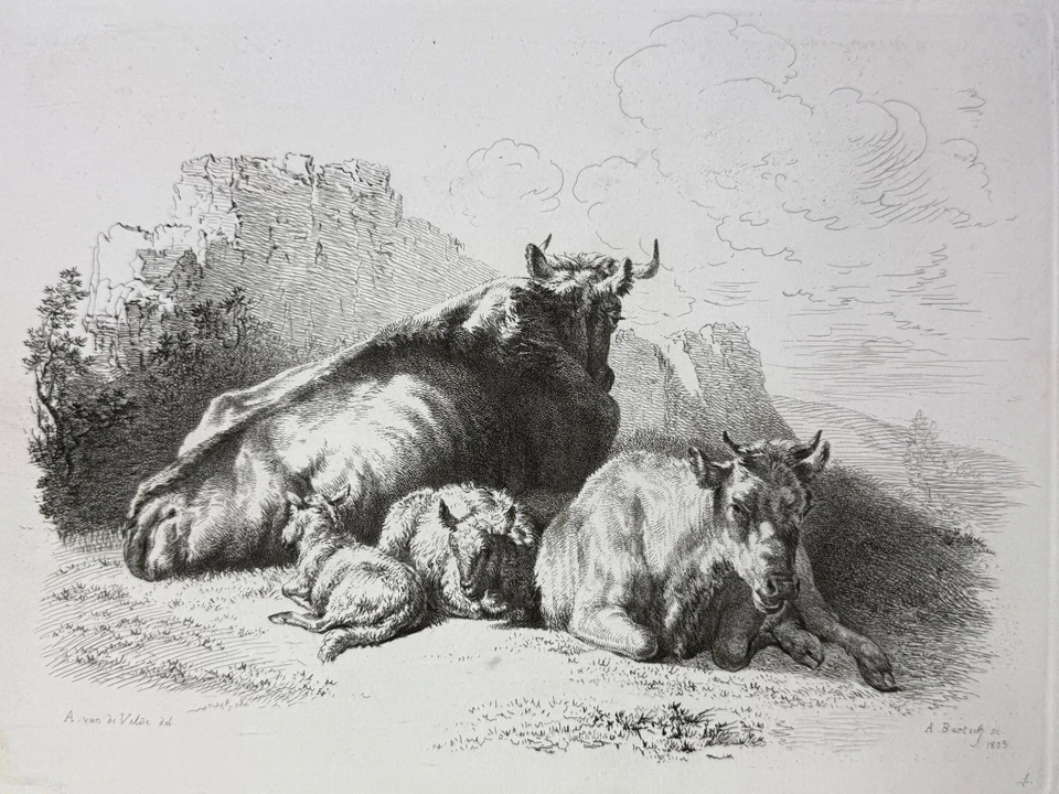 Adam von Bartsch, Ruhende Rinder mit zwei Kälbern 1805 A. van Velde - Bild 2 von 4