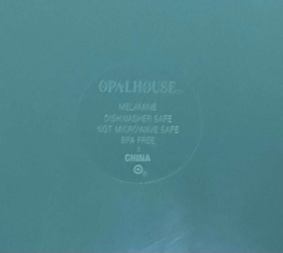 Juego de platos de ensalada de melamina Opalhouse desajustados pájaro tropical rosa floral divertido Foto 3 de 4