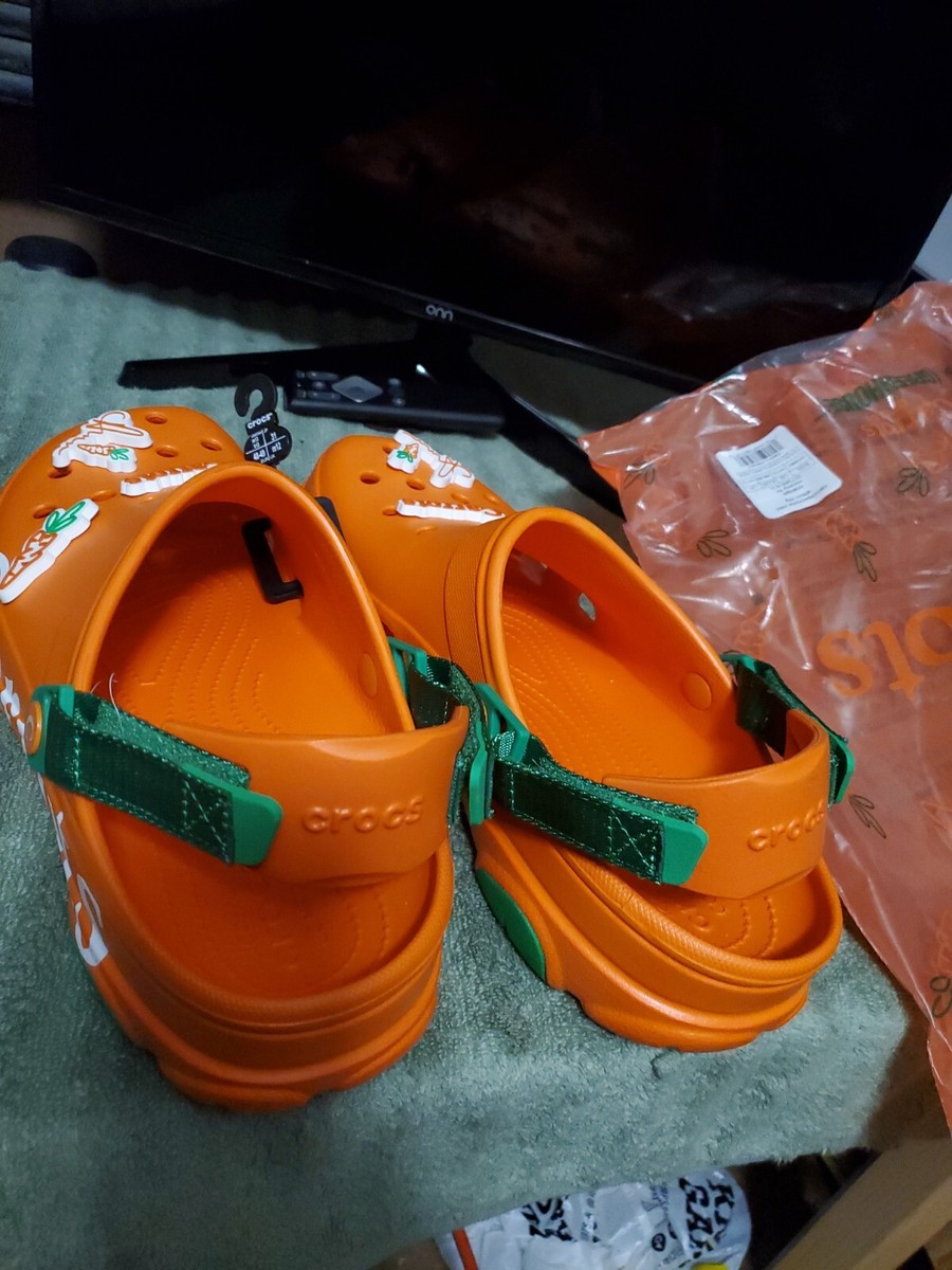 Crocs X Carrots Classic All-Terrain Clog Limited -207266-810  display picture 1