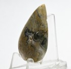 Foto 2 di 5