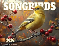 2026 Songbirds Wall Calendar 16-Month X-Large Size 14x22 | FREE SHIPPING