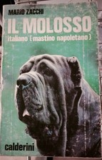 Il Molosso (Mastino Napoletano) Mario Zacchi