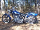 2005 Harley Davidson Softail