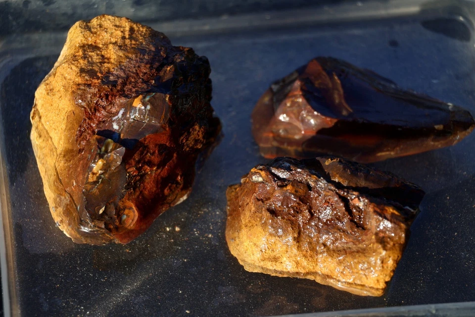 1,000+ cts Boulder Opal Rough Chunks With Some Colour Showing (Good Potential) - Image 2 of 4