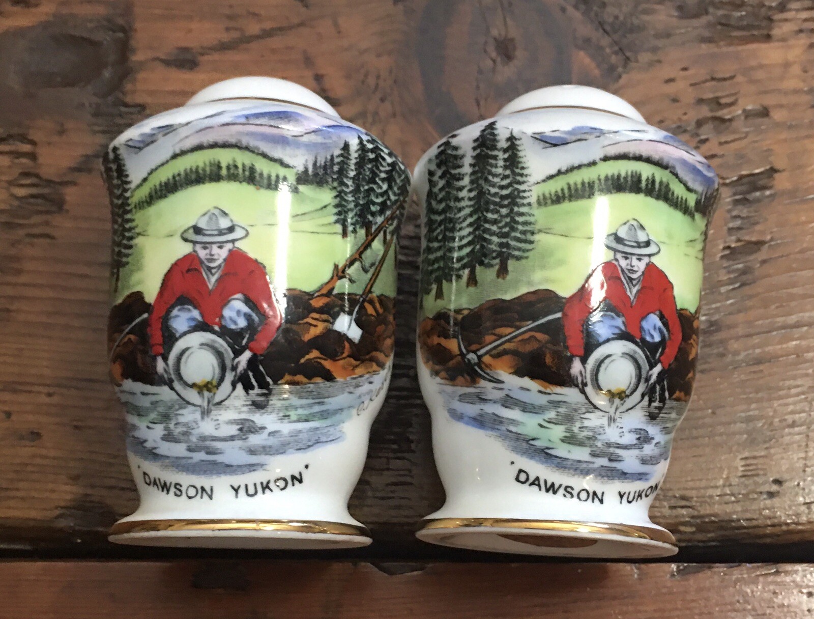 Dawson Yukon Salt and Pepper Shakers, Royal Stafford Bone China
