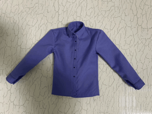 1/6 Scale Soldier Light blue Shirt Model for Figure Doll Toys - Picture 2 of 28