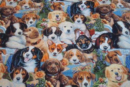 One yd David Tex Fabric Jenny Newland DOG Breeds Lover Quilt Craft 44" x 36" BTY - Picture 5 of 7