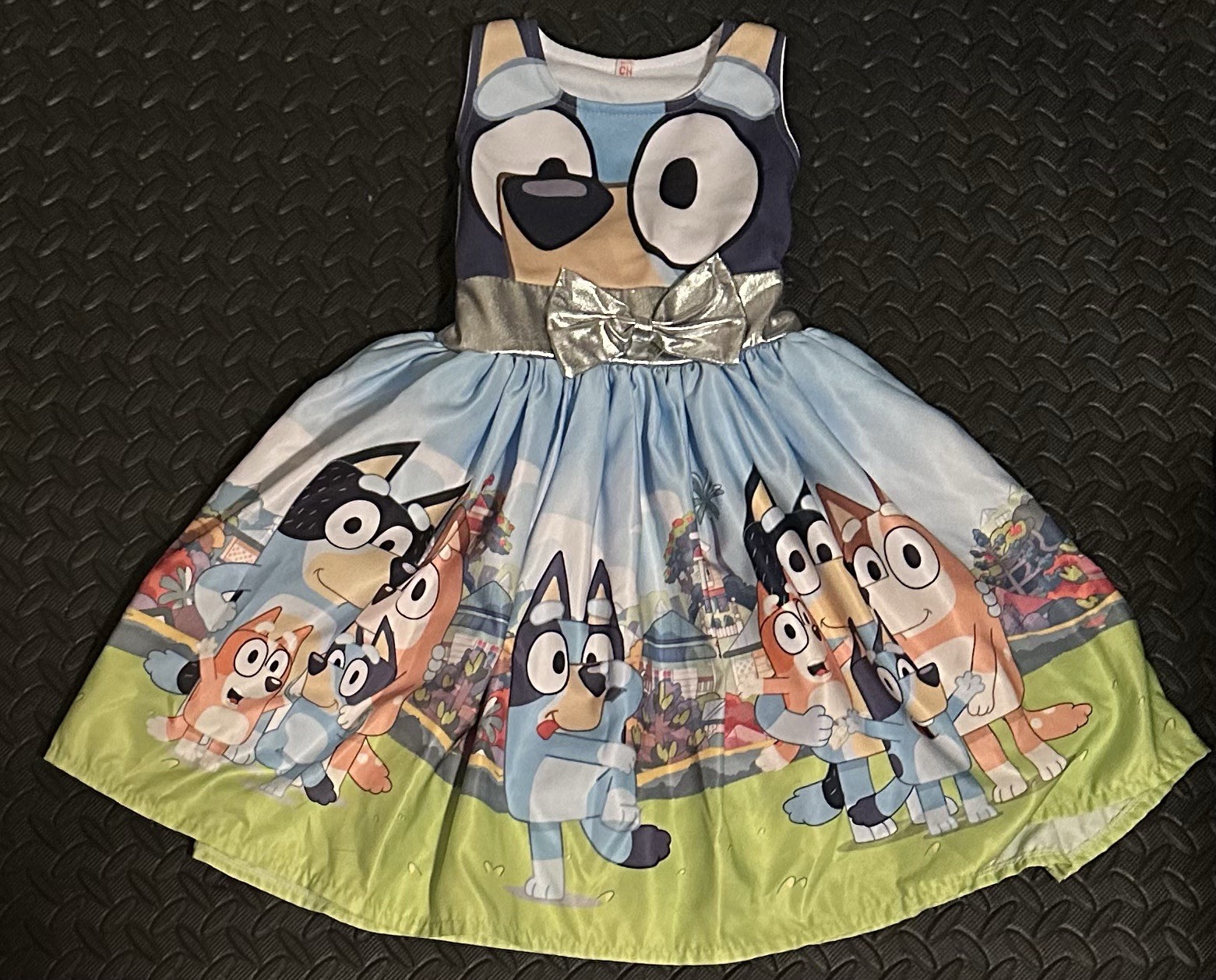 Bluey Girl Party Dress Size 2T