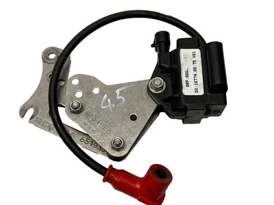 Rotax Max Evo Karting komplette Zündspule Gebrauchtteil Ref 45