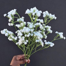 Baby  s Breath Flowers - Faux Gypsophila Elegans for Decor