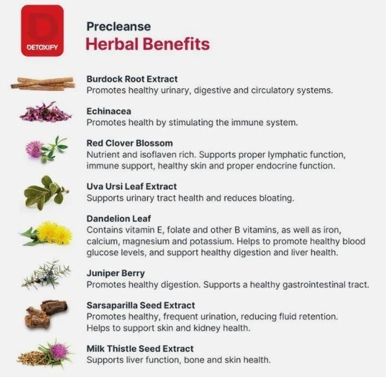 Suplemento herbal DETOXIFY Precleanse Foto 2 de 3