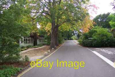 Foto 6x4 Merrist Wood College Fairlands\/SU9652 The Merrist Wood Nachlass um 2005