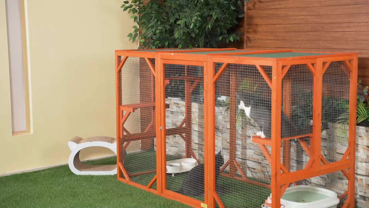 Outdoor Cat Enclosure Coziwow Wooden Playpen Catio Wayfair