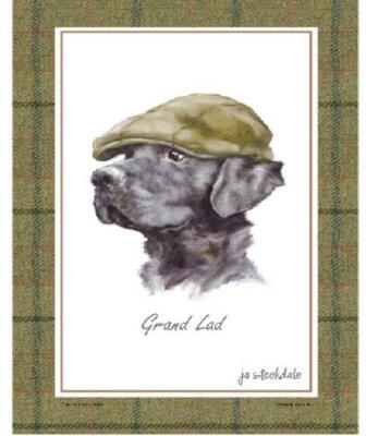 Samuel Lamont UK Jo Stockdale Grand Lad Black Lab Dog w Hat Cotton Tea Towel NWT