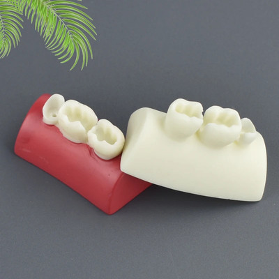 Dental Inlay Exercise Model Block Filling Exercise Typodont Resin Materials