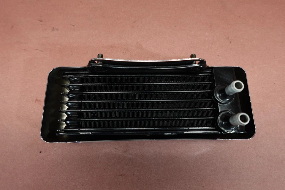 1999 - 2000 Harley Davidson Electra Glide FLHTCUI 油冷却器收音机带盖 — 第 4/4 张图片