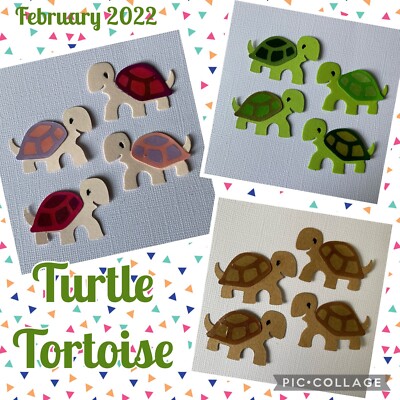 Turtle Turtles Tortoise Animal Pet Petting Zoo Gardens Baby Die Cuts