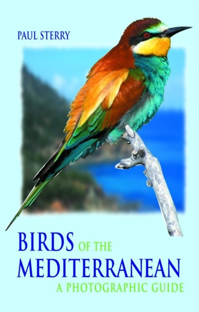 Birds of the Mediterranean A Photographic Guide by Paul Sterry (Paperback Book)