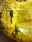Foto 3 di 10