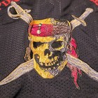 Bild 11 von 14