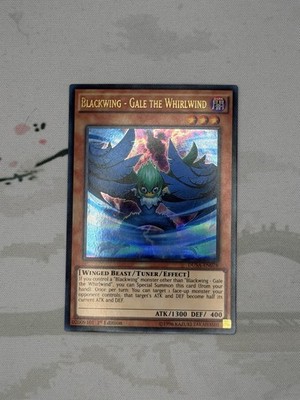 Blackwing - Gale the Whirlwind DUSA-EN078 Duelist Saga 1st Edition NM