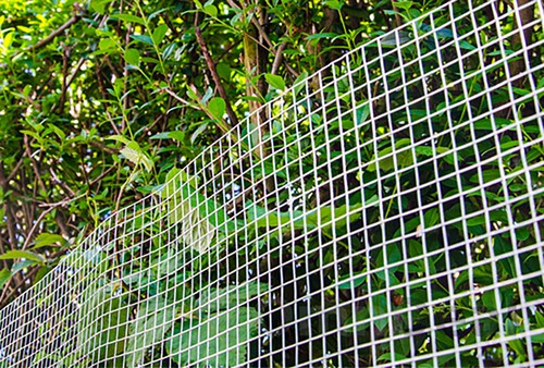 25x1m Maschendrahtzaun 0,8mmDraht 19x19mm Zaun Volierendraht Verzinkt Gartenzaun - Bild 6 von 9