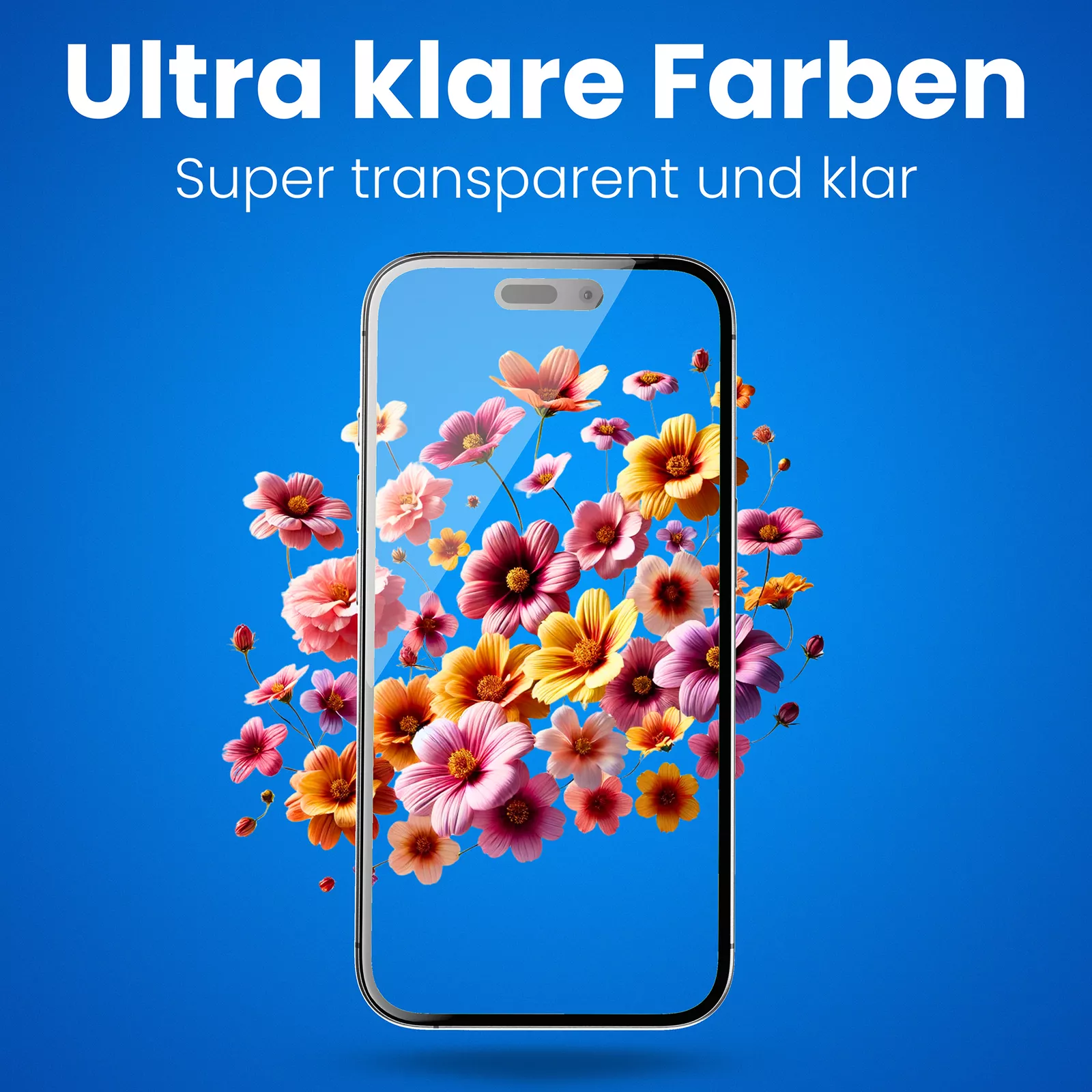 Bild 7 von 8