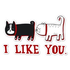 I Like You Cat Dog, Vinyl Decal Sticker, Indoor Outdoor, 3 Sizes, 7737
