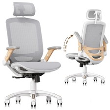 Ergonomic Office Chair, High Back Home Desk Chair with Flip-Up Arms, Headrest...