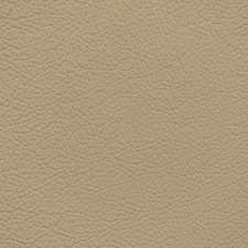 GM Chai Beige Leather Dye