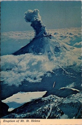 Washington Mt St Helens Eruption Volcano Continental Postcard B525