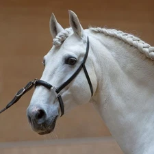 Kieffer Anja Beran Lunging Cavesson - Black - Full