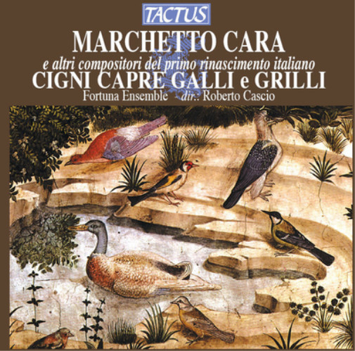 Коллекция Marchetto Cara, Marchetto Cara E Altri Compositori Del Primo (CD) (ИМПОРТ из Великобритании)