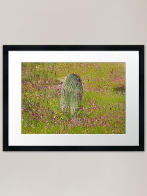 Fass Kaktus Wildblumen gerahmt Ar gerahmt Wandbild Poster Leinwanddruck Bild