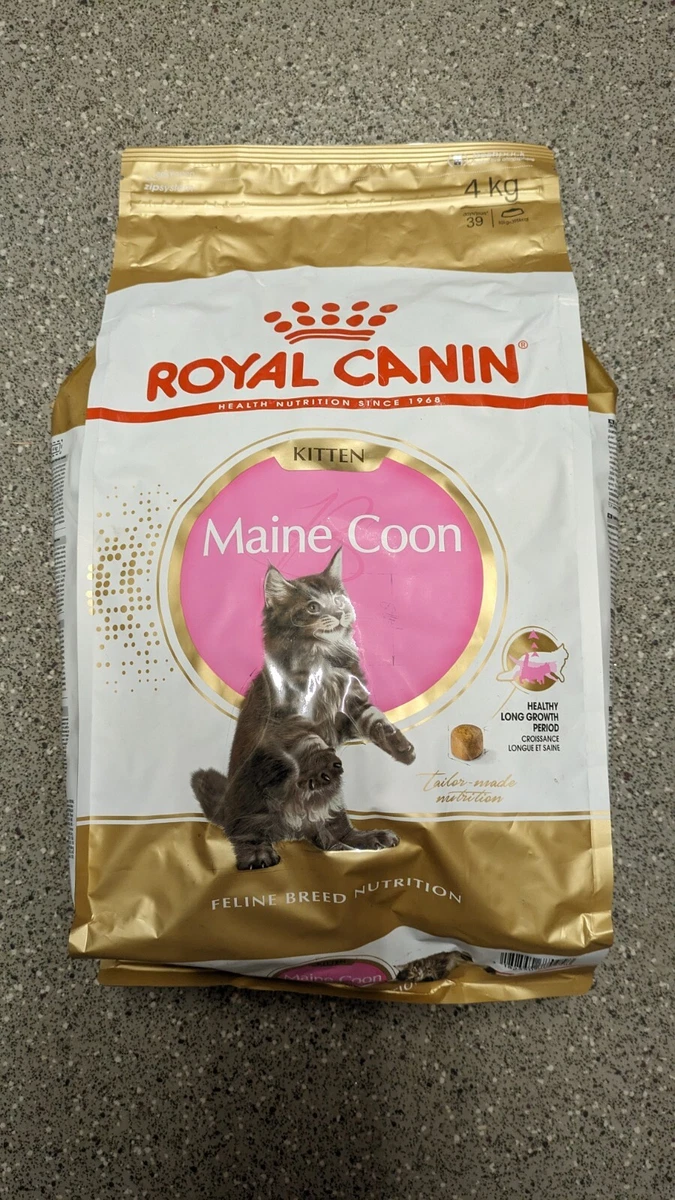 Royal canin maine coon kitten cheap 4kg