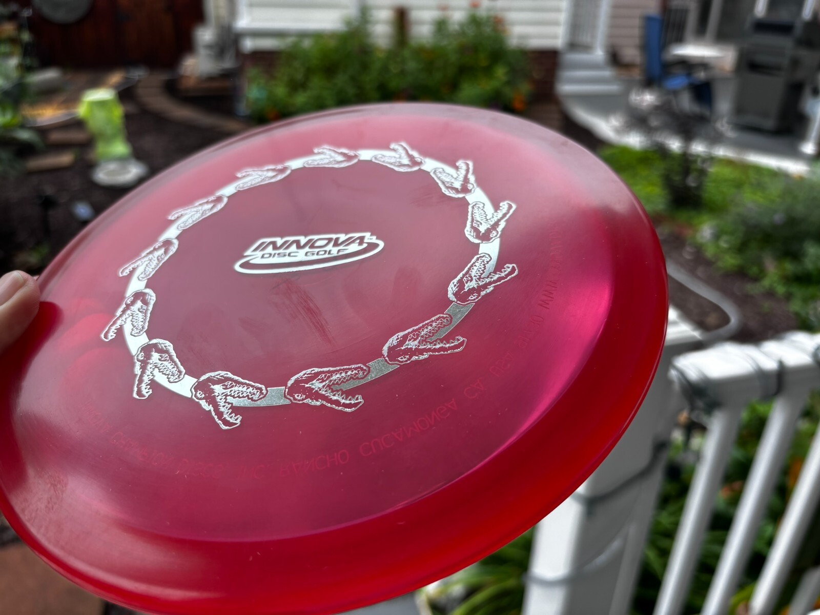 Disc Golf Innova Champion Gator (Ring of Gators) Penned PFN (Free Returns) #3968 - Thumbnail 11