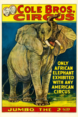 Jumbo The 2nd 1935 African Elephant Vintage Circus Giclee Canvas