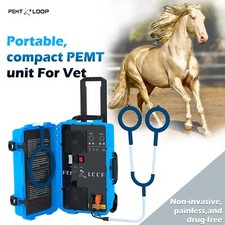 Equine PEMF Therapy Horses Massage Machine PMST LOOP Magnetic Physiotherapy