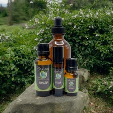 Hyssop Essential Oil