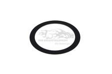 Original Dichtring AGR Ventil für Fiat 500 55214291