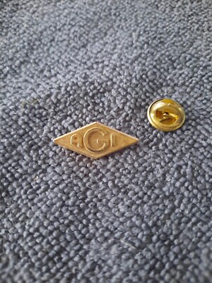 Anstecknadeln Agi Gold Gold Gold - Abzeichen Anstecknadeln L18