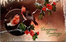 Christmas Greetings, Robins and Holly Tuck 8279  Vintage Postcard Y26