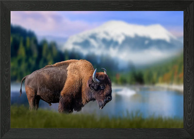 Bison auf Halterung Hintergrund Gerahmtes Wandbild Poster Leinwanddruck Bild