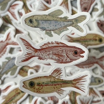  Fishes  Vinyl Sticker, fish, Self-Adhesive, Solomikaarts 